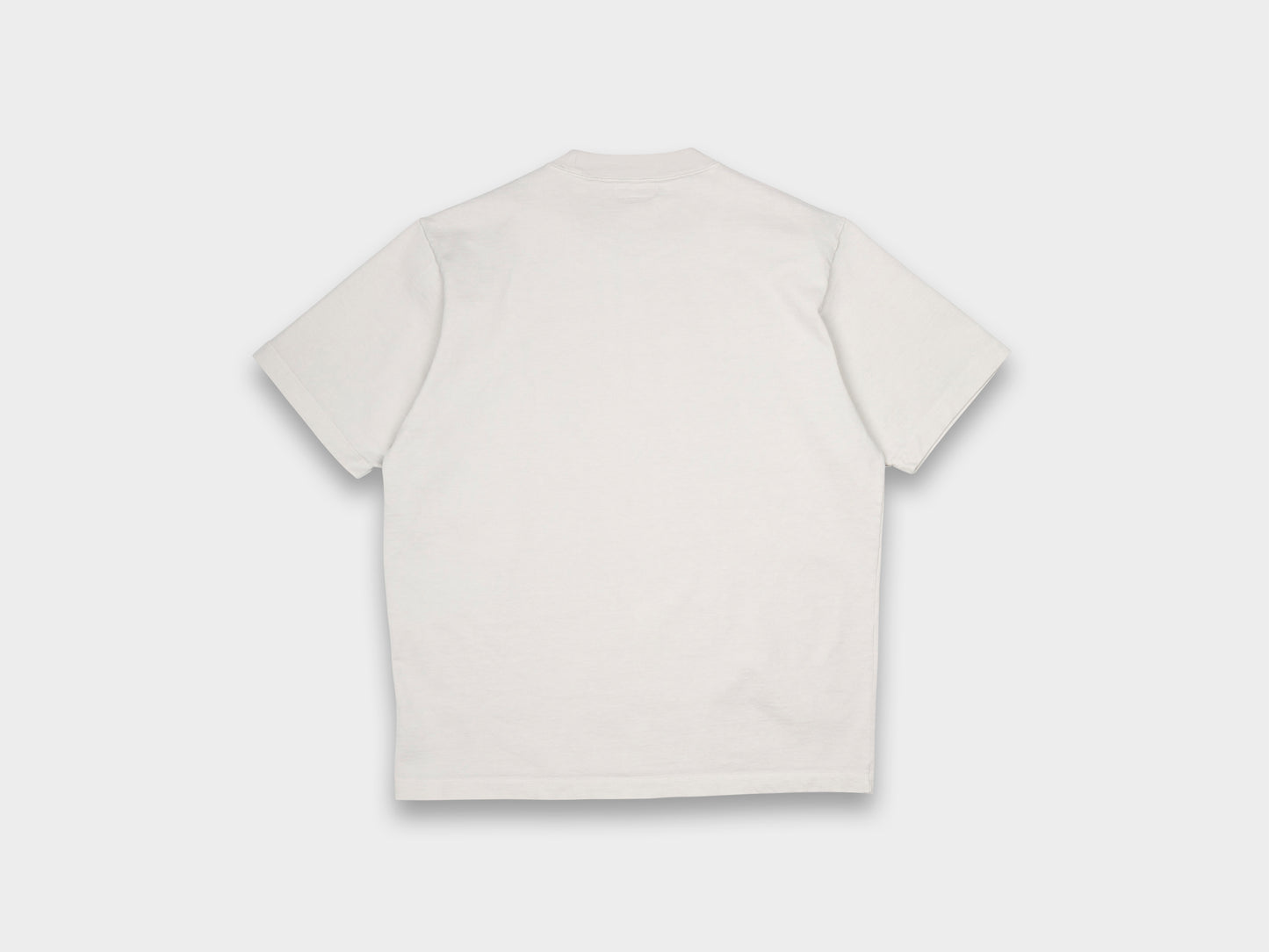 Lady White Co. Rugby T-Shirt Putty