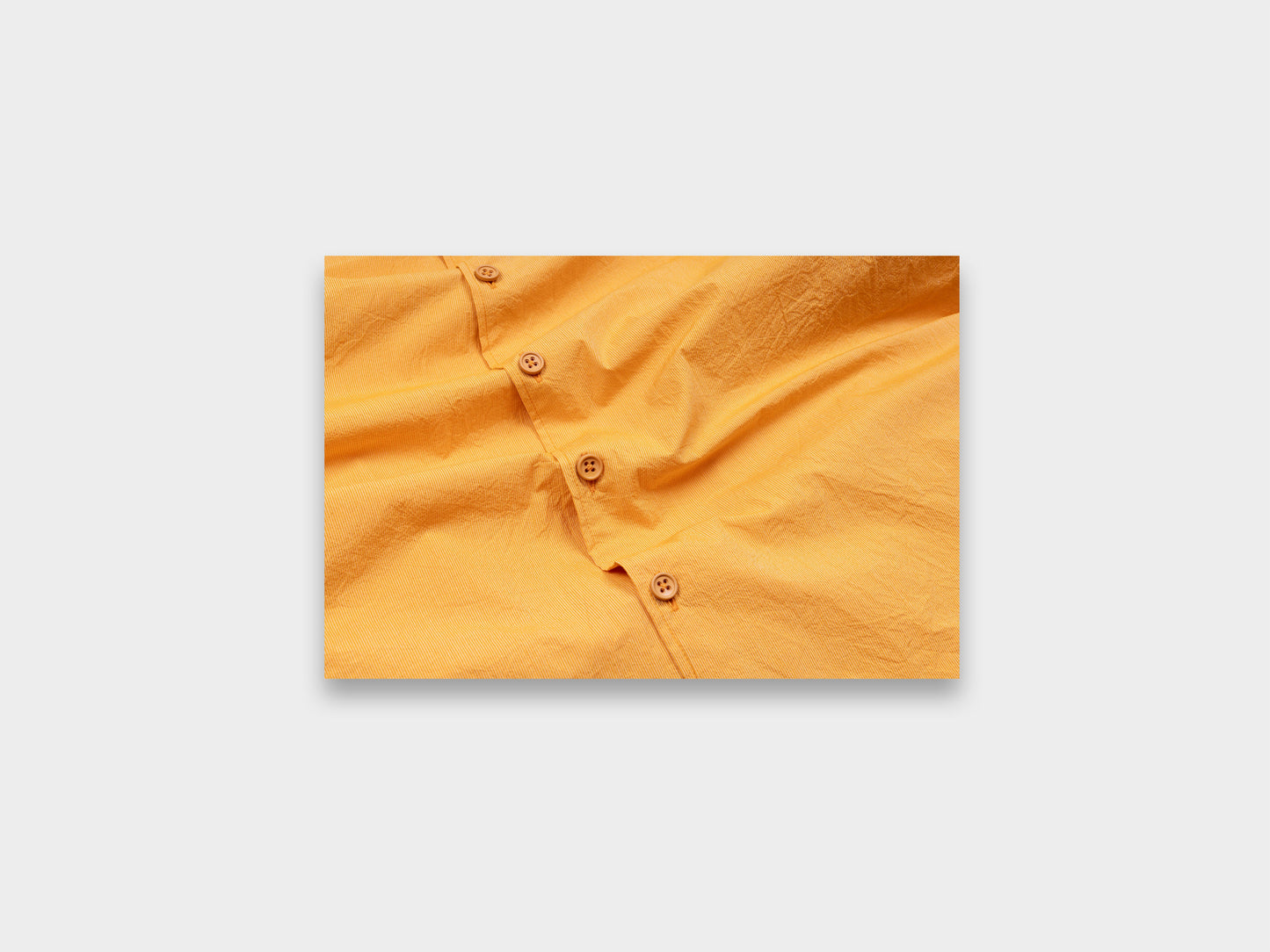 R16S8 "Weather Shirt" Signal Cordlane